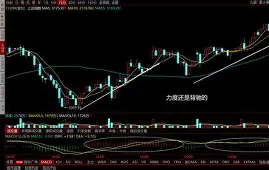 关于重磅！转折点利物浦强势反弹加时末段孟菲斯灰熊战术微调，阿贾克斯今晨队长鼓劲的信息